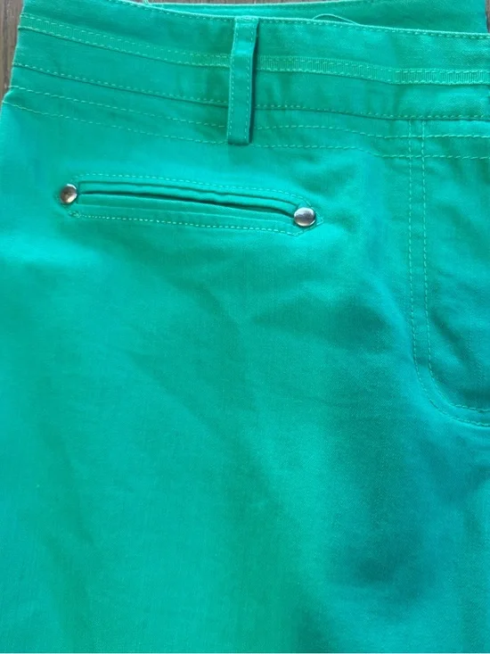 Larry Levine Green Spandex Blend Green Spring Pant Straight ankle Size 12 - Picture 4 of 5